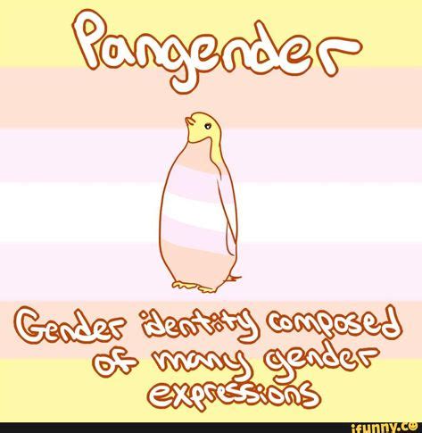 14 Pangender stuff for Yombie :D ideas in 2021 | lgbtq pride, lgbtqia, lgbtq