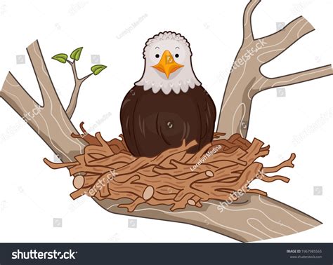 Eagle In Nest: Over 972 Royalty-Free Licensable Stock Illustrations & Drawings | Shutterstock