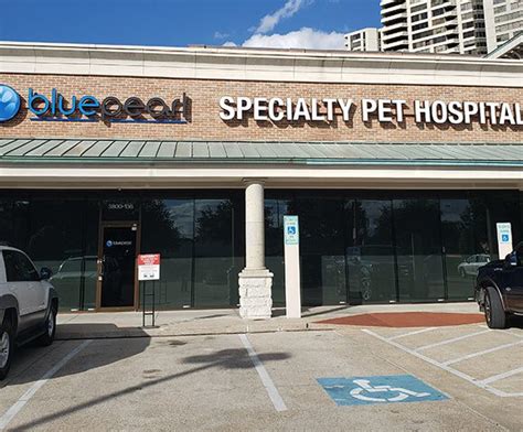 BluePearl Pet Hospital | Greenway Plaza, Houston, TX | Specialty Vet