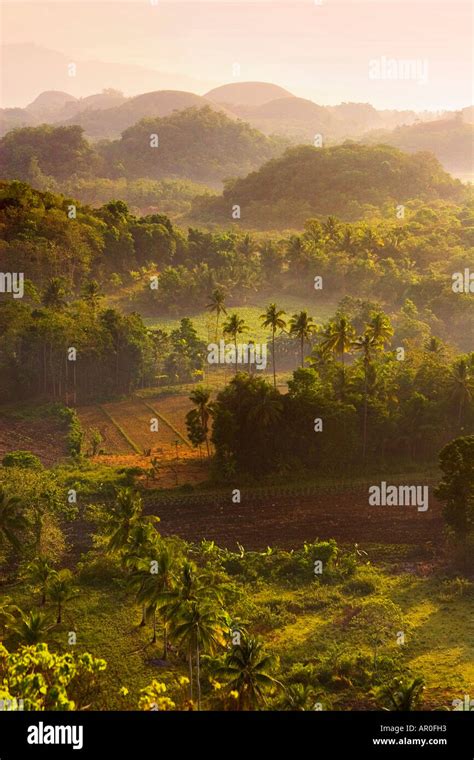 Sunrise over the Chocolate Hills Bohol The Philippines Stock Photo - Alamy