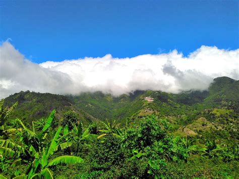 A view of the majestic Blue Mountains in Jamaica Jamaica Tours, Visit Jamaica, Blue Mountain ...