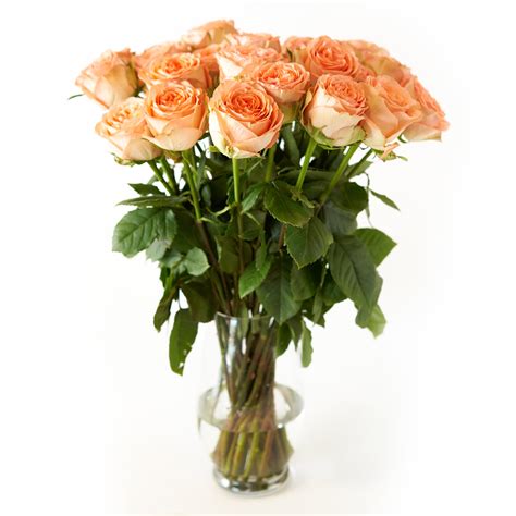 Orange Roses Flower Bouquet - 48 Orange Roses Long Stem - 4 Dozen Roses - Beautiful Orange Roses ...