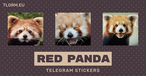 “Red Panda” stickers set for Telegram