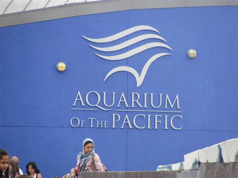 The Beach : long beach aquarium