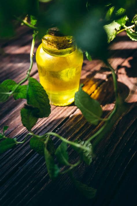 Best Homemade Peppermint Beard Oil for Hair Growth