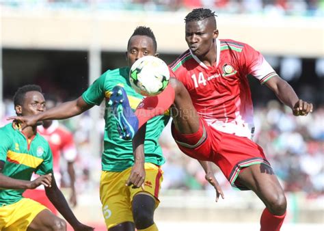 AFCON: Five Harambee Stars players to watch at Nations Cup : The standard Sports