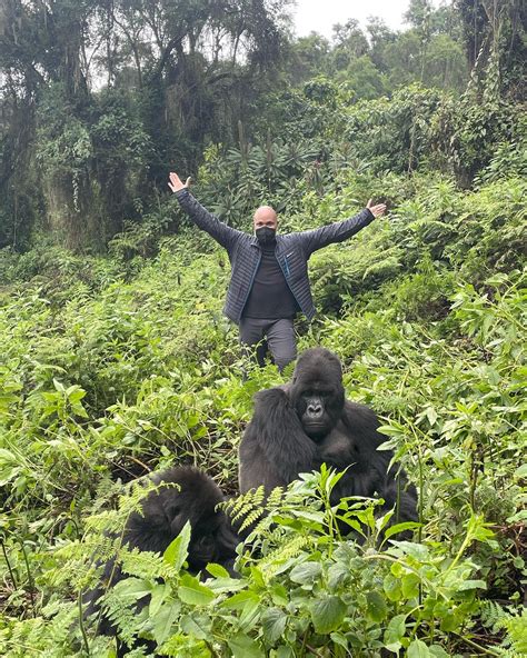 I Went Gorilla Trekking in Rwanda – Here's How I Did It! - Vacationer ...