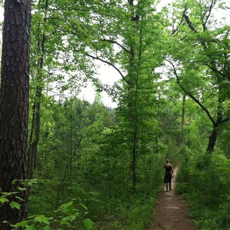 Cheaha State Park - Hiking Trail | Fifty States: Alabama | Pinterest