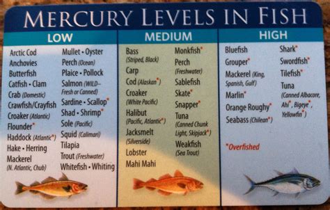 fish mercury levels list