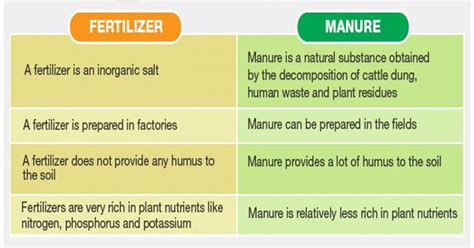 Difference between Manure and Fertilizer - Assignment Point