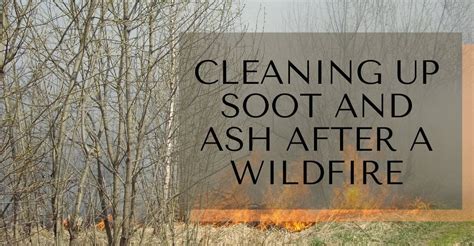 Cleaning Up Soot and Ash After A Wildfire - Superior Restoration