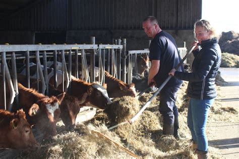 Tackling dairy farming problems from the ‘bottom up’ - Dairy Global