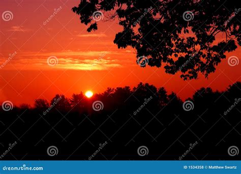 Red sunset silhouette stock photo. Image of colorful, evening - 1534358