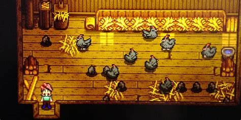 Stardew Valley Fan Crafts Real-Life Void Chicken