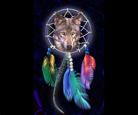 Pin by Jennifer Baker on Tattoo Ideas | Dream catcher native american, Dream catcher, Wolf ...