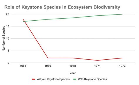 17 Keystone Species Examples [Names, Photos and Importance]