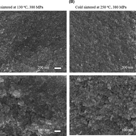 SEM images of fracture surfaces of the cold‐sintered maghemite samples:... | Download Scientific ...