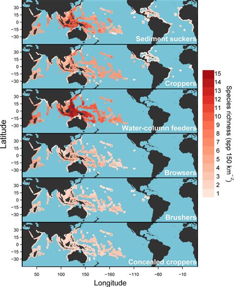 Surgeonfish species richness per functional group. Note the complete ...