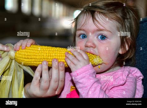 Child eating corn on the cob Stock Photo - Alamy