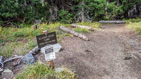 Glacier Basin Trail