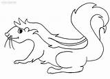 Printable Skunk Coloring Pages For Kids  Cool2bKids sketch template