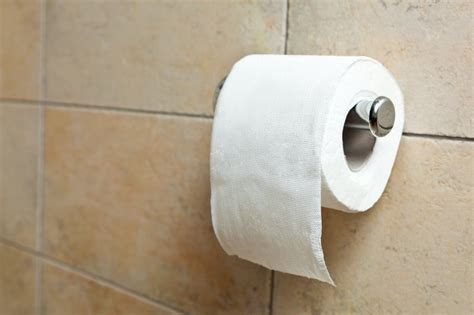 Turkish fatwa says toilet paper OK for Muslims - UPI.com