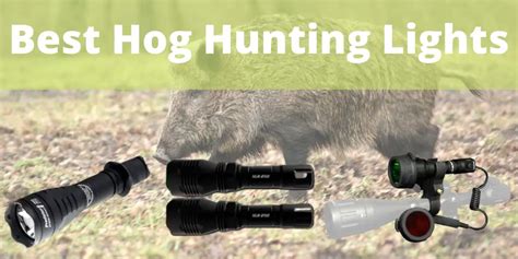 Best Hog Hunting Lights – Hunter Guide