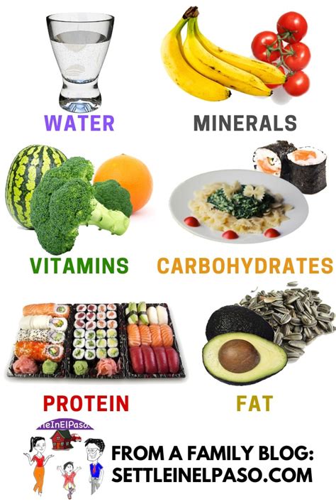 Six groups of food for children and grownups to ensure good health