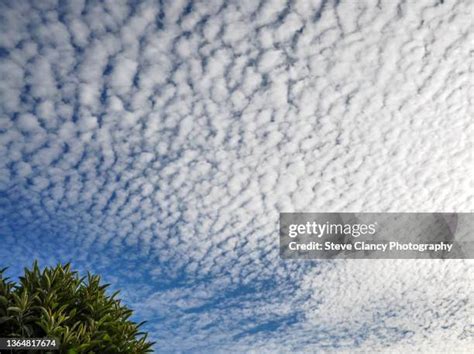 2,162 Altocumulus Clouds Stock Photos, High-Res Pictures, and Images ...