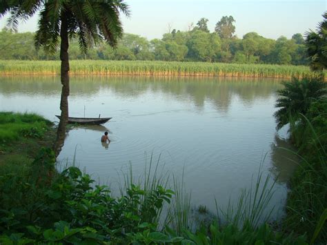 File:Village Bangladesh.JPG - Wikimedia Commons