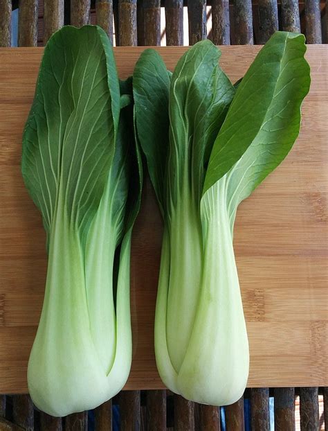 How to Grow Bok Choy (Chinese Cabbage) in 2020 | Growing bok choy, Bok choy, Chinese cabbage