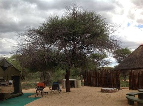 Campsite - Picture of Otjiwa Safari Lodge, Otjiwarongo - TripAdvisor