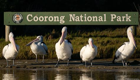 Coorong National Park — Mykelphotography