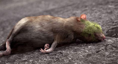 See New York City get devoured by powerful plants in this breathtaking short film rat ...