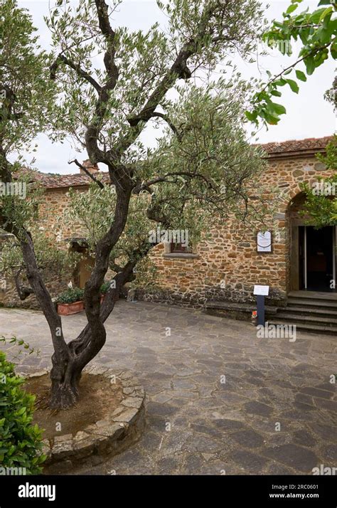 Birthplace of Leonardo da Vinci, Tuscany Stock Photo - Alamy