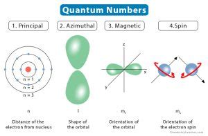 Quantum Numbers: Definition, Examples, and Chart