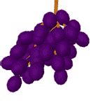 Grapes: Animated Images, Gifs, Pictures & Animations - 100% FREE!