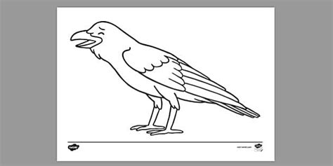 FREE! - Crow Colouring | Colouring Sheet (teacher made)