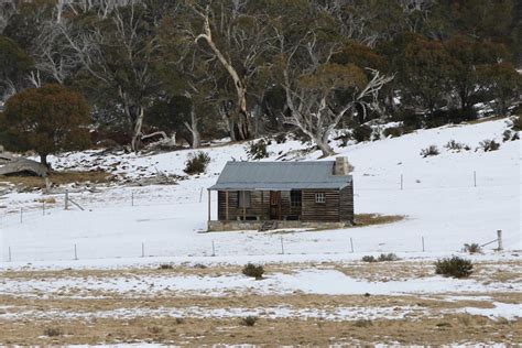 Brumbies battle: What to do with the wild horses of the Snowy Mountains - ABC News