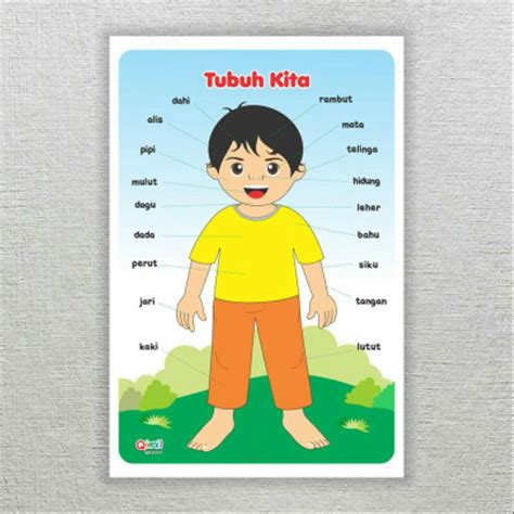 Jual Poster belajar anak TK & PAUD Mengenal Anggota Tubuh. mainan edukasi di lapak Qimil Gallery ...