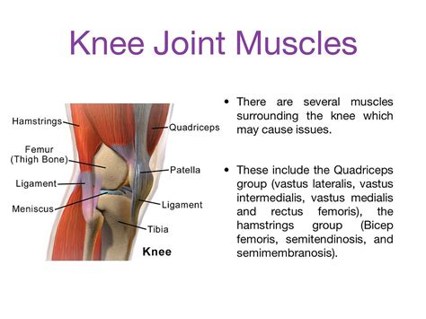 Knee injuries and some exercises that can help to strengthen the joint and reduce injury