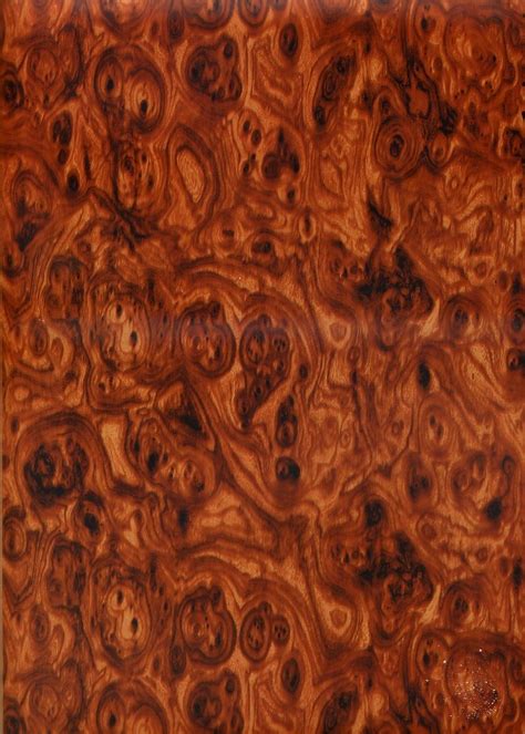 Snake wood, Burled wood, Wood veneer