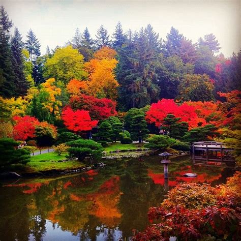 Seattle Japanese Garden in Washington Park Arboretum | Seattle japanese garden, Japanese garden ...