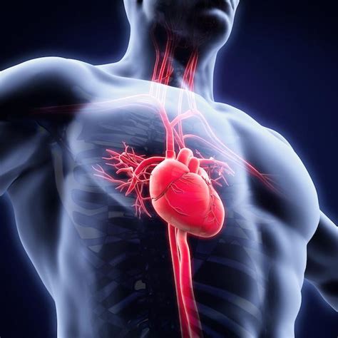 The Best Exercises for Heart Health: Syed Bokhari, MD, FACC: Cardiologist