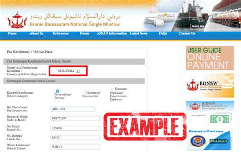 Brunei Vehicle Pass (VES) Online - Rider Chris