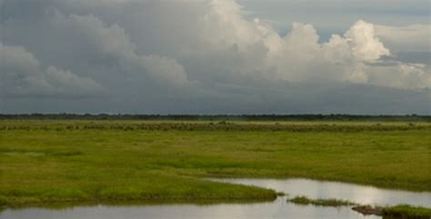 Tropical Grasslands of Los Llanos: Map of the Llanos Area