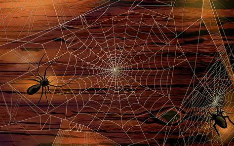 Halloween - Spider Web desktop wallpaper, pictures Halloween - Spider ...