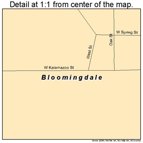 Bloomingdale Michigan Street Map 2609220