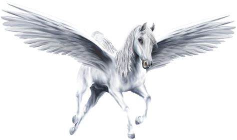 Pegaso PNG