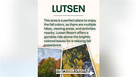 Fall colors in Minnesota: Where to see the best fall foliage | FOX 9 ...